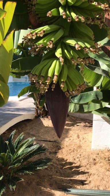 Gezellige Villa Met Prachtig Zicht En Zwembad Arona  Bagian luar foto