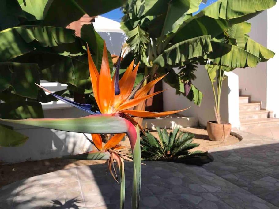 Gezellige Villa Met Prachtig Zicht En Zwembad Arona  Bagian luar foto